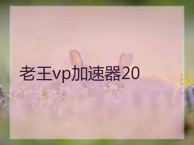 老王vp加速器20