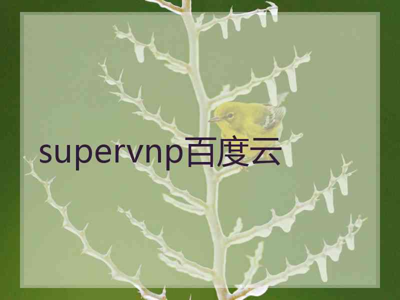 supervnp百度云