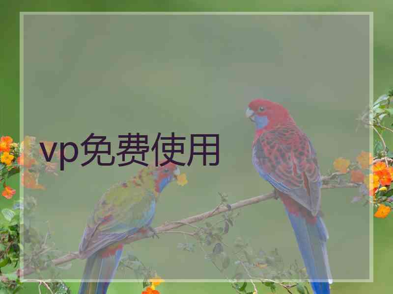 vp免费使用