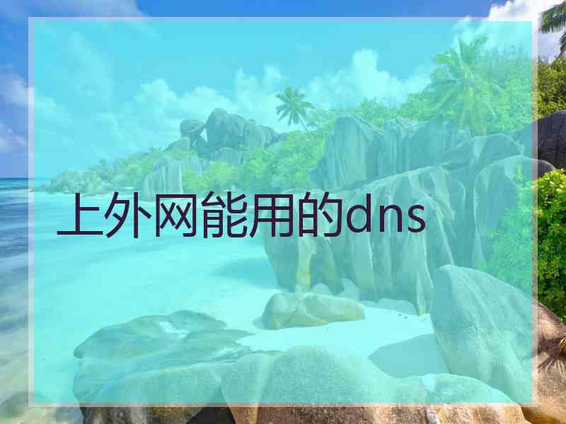 上外网能用的dns