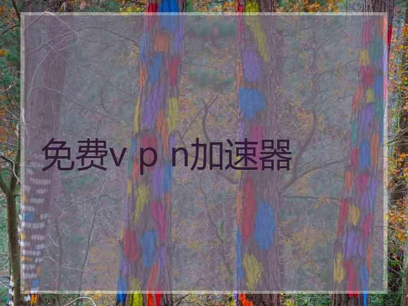 免费v p n加速器