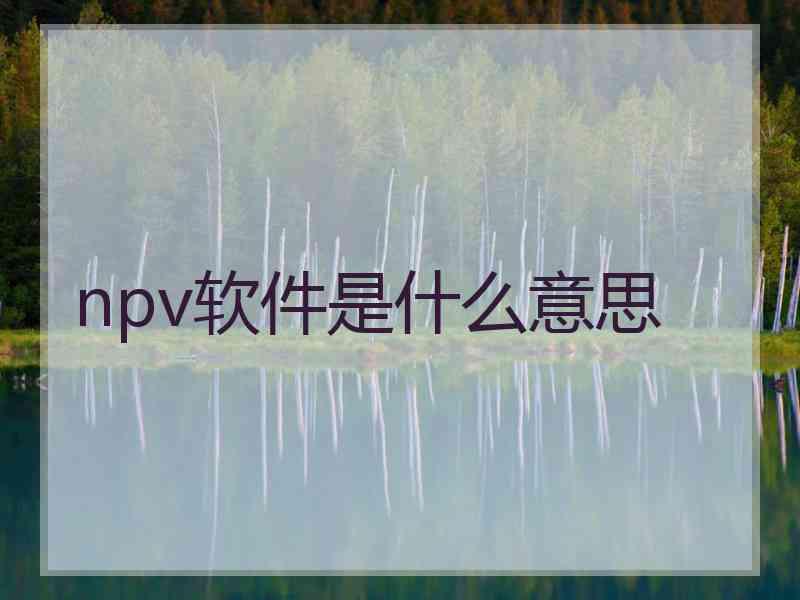 npv软件是什么意思