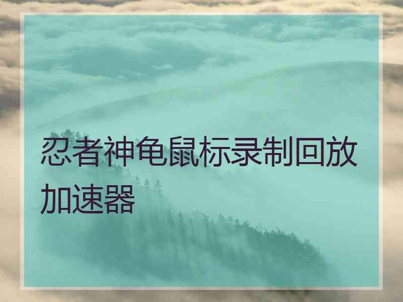 忍者神龟鼠标录制回放加速器