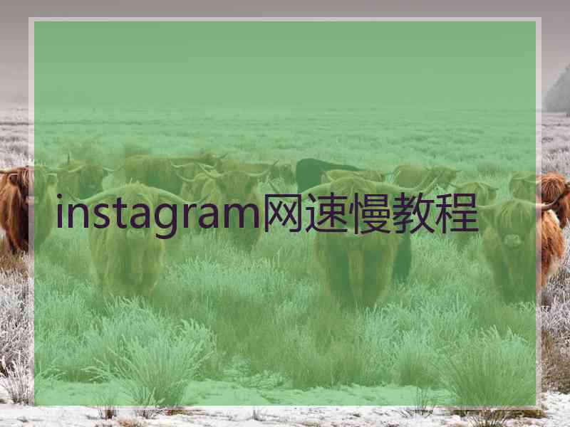 instagram网速慢教程