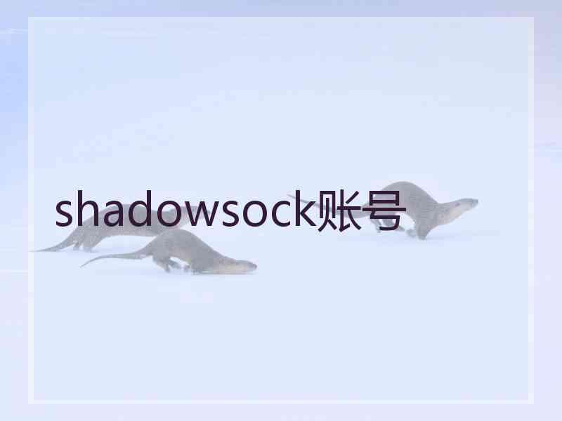 shadowsock账号