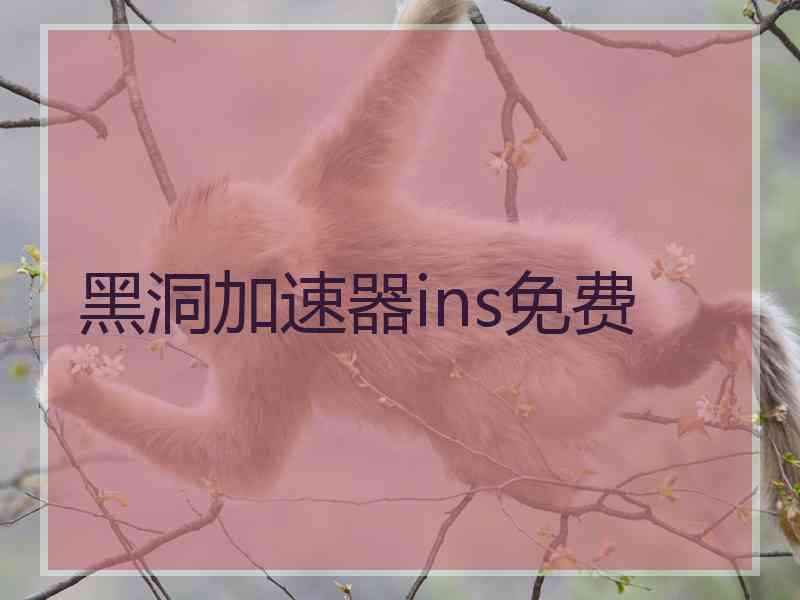 黑洞加速器ins免费