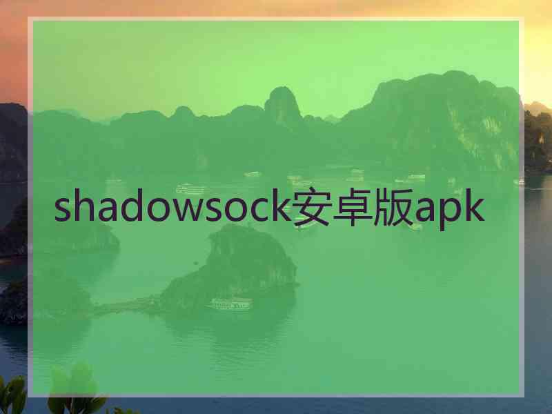 shadowsock安卓版apk