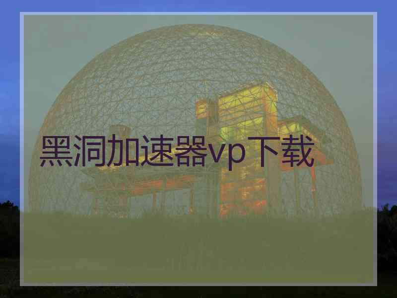 黑洞加速器vp下载