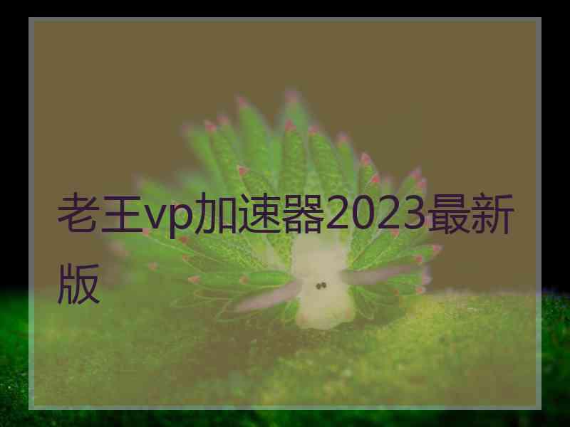 老王vp加速器2023最新版