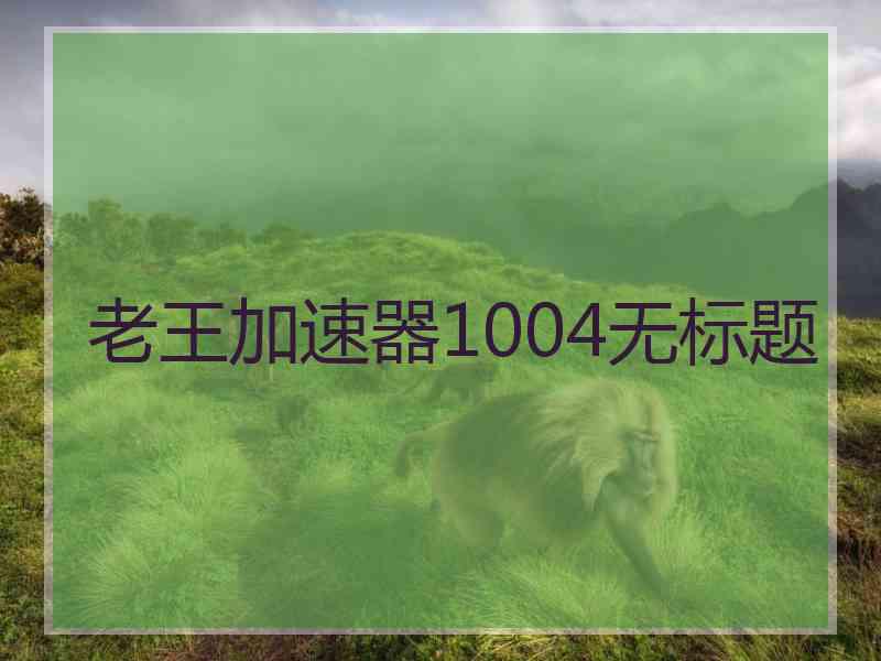 老王加速器1004无标题