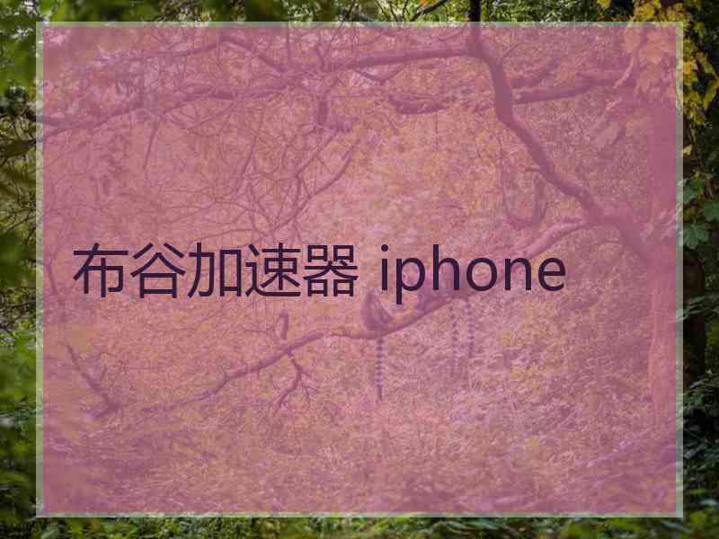 布谷加速器 iphone