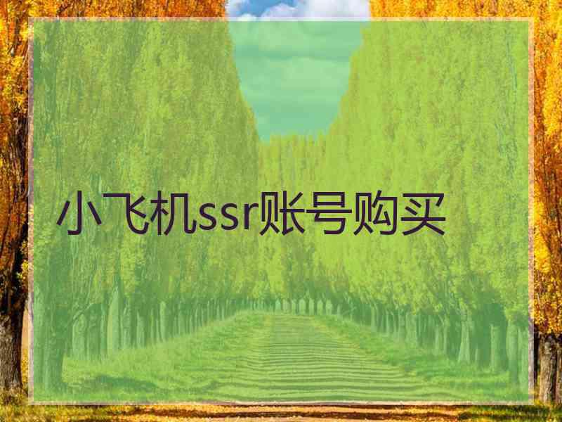 小飞机ssr账号购买