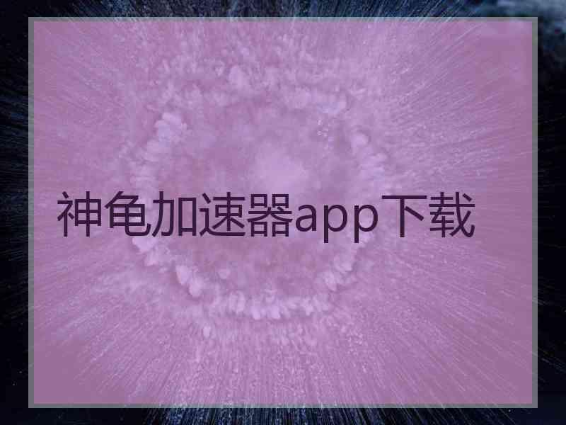 神龟加速器app下载