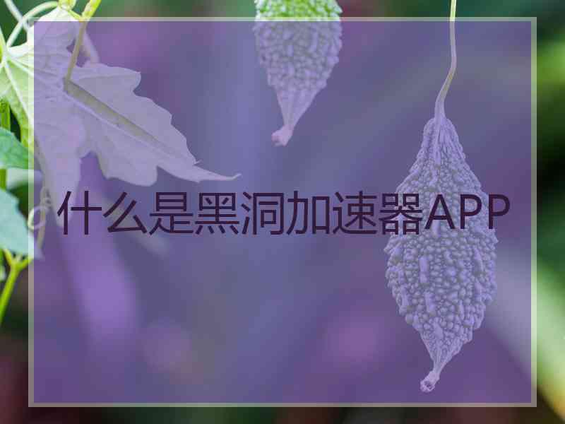 什么是黑洞加速器APP