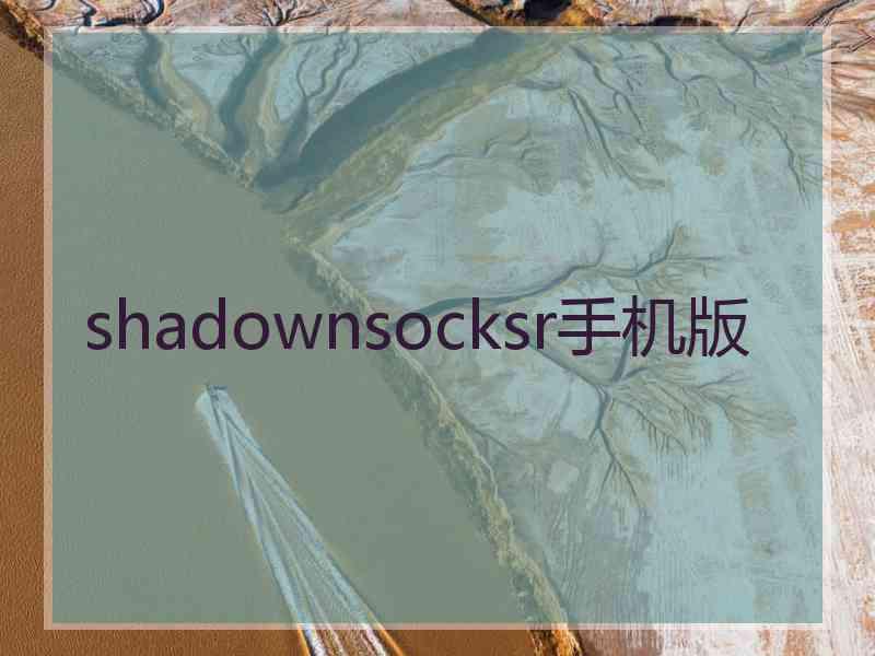 shadownsocksr手机版