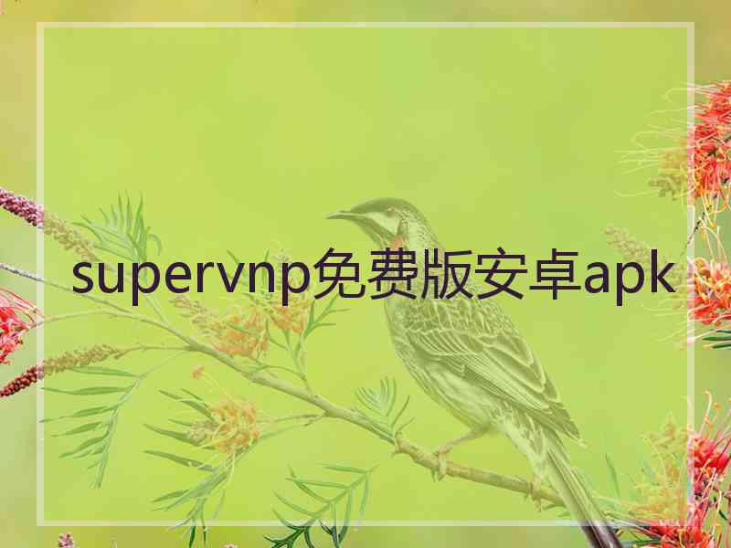 supervnp免费版安卓apk