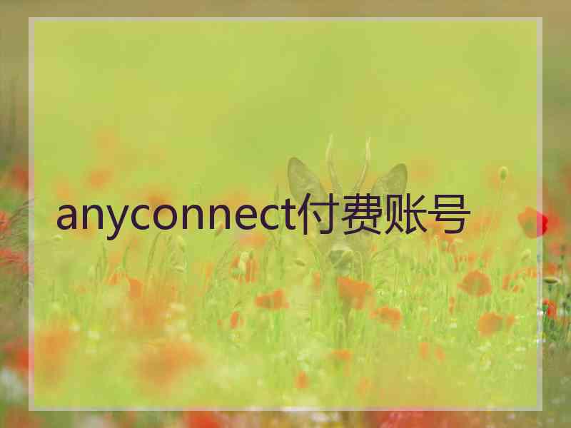 anyconnect付费账号