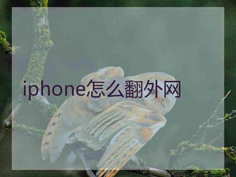 iphone怎么翻外网