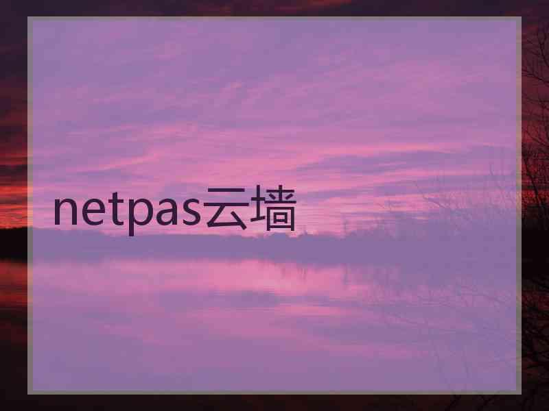 netpas云墙