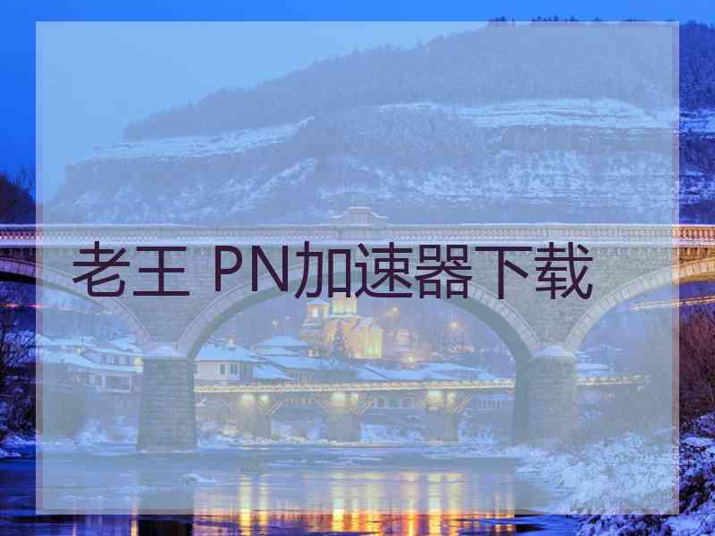 老王 PN加速器下载