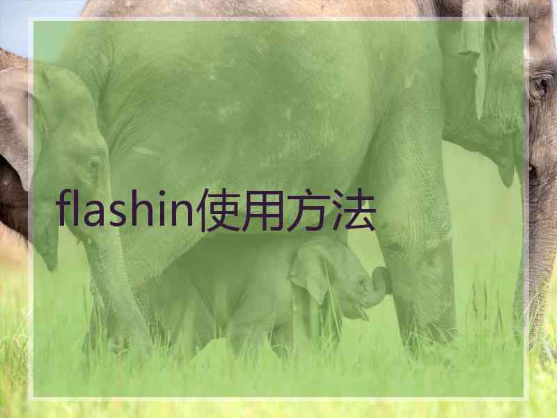 flashin使用方法