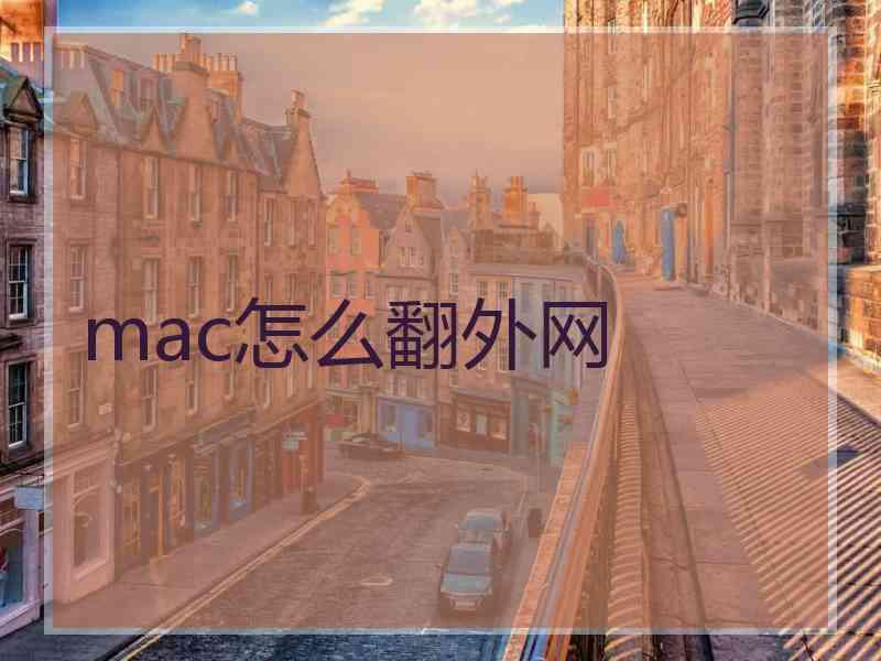 mac怎么翻外网