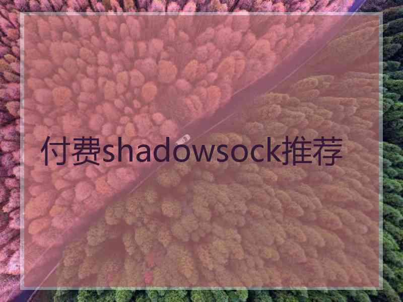 付费shadowsock推荐