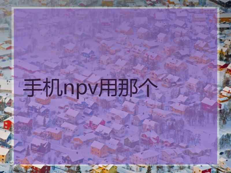 手机npv用那个