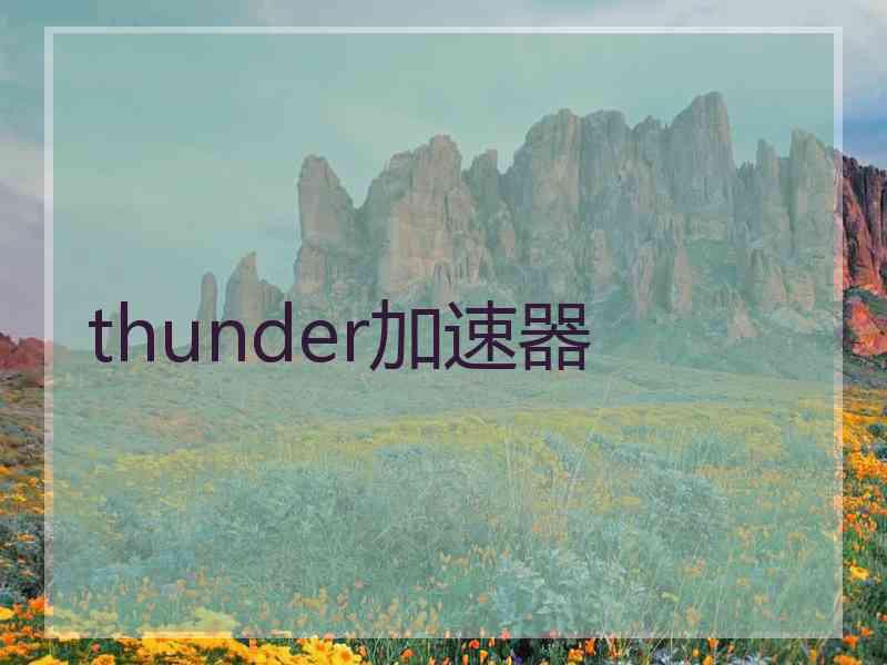 thunder加速器