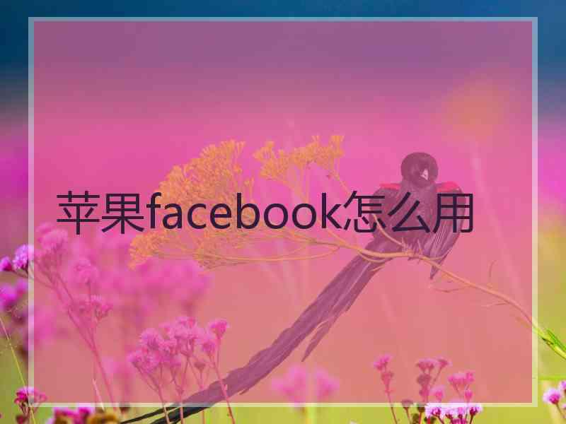 苹果facebook怎么用