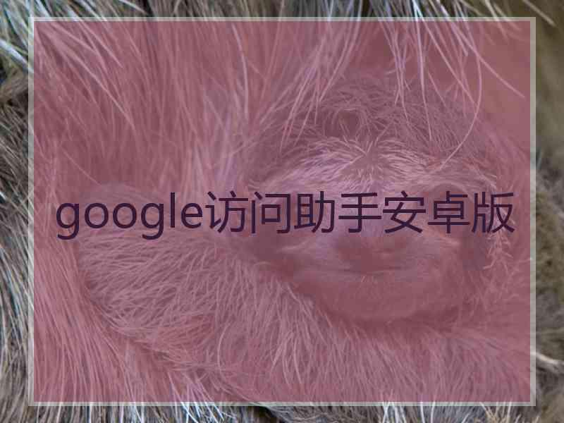 google访问助手安卓版