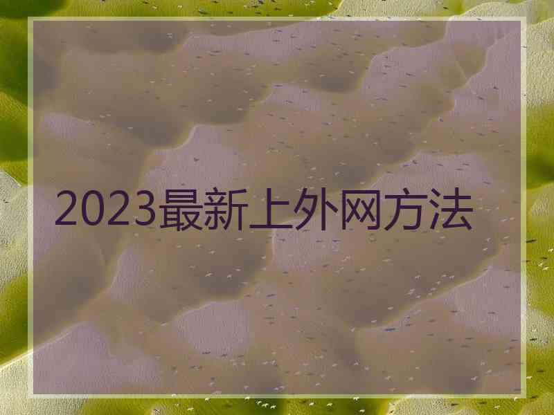 2023最新上外网方法