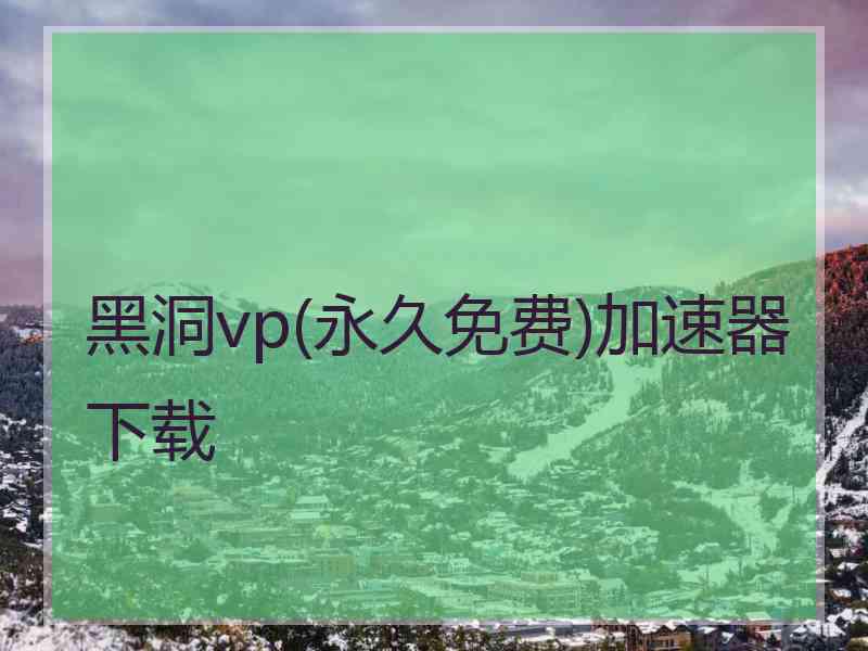 黑洞vp(永久免费)加速器下载