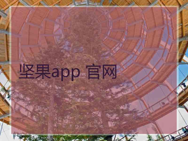 坚果app 官网