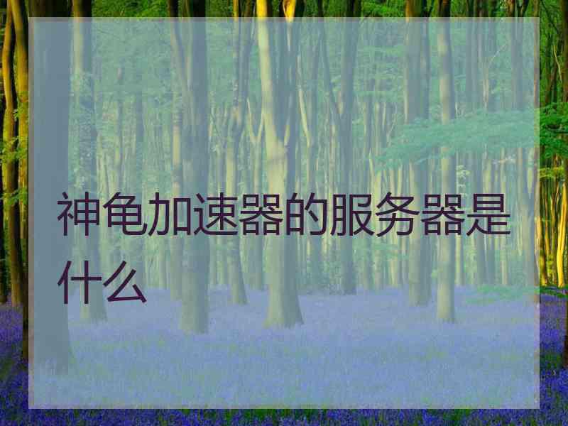 神龟加速器的服务器是什么