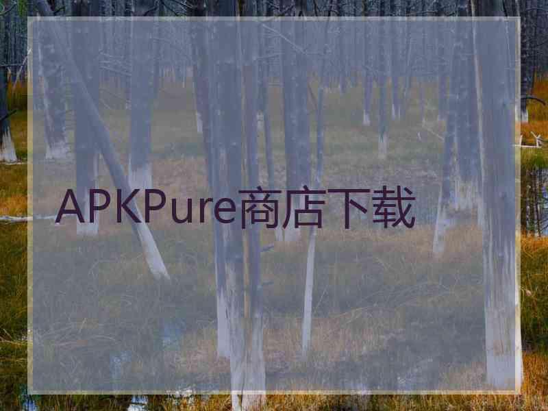 APKPure商店下载