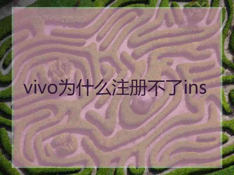 vivo为什么注册不了ins