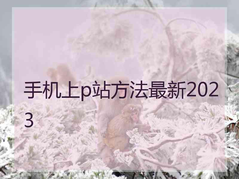 手机上p站方法最新2023