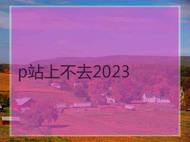 p站上不去2023